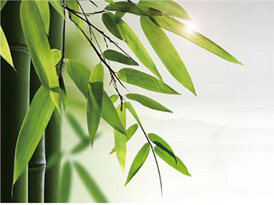 ana ortak çabalar Kime gelişimini teşvik etmek Of Bambu endüstrisi